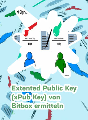 Bitcoin extended public key