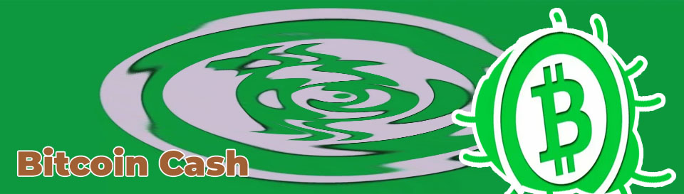 Btc bitcoin cash