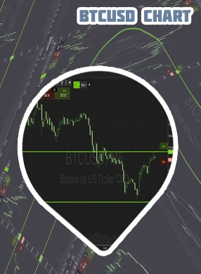 Btc price live