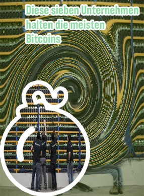 Gr&ouml;&szlig;te bitcoin besitzer