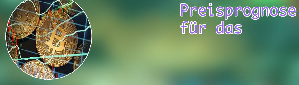 Preis pro bitcoin