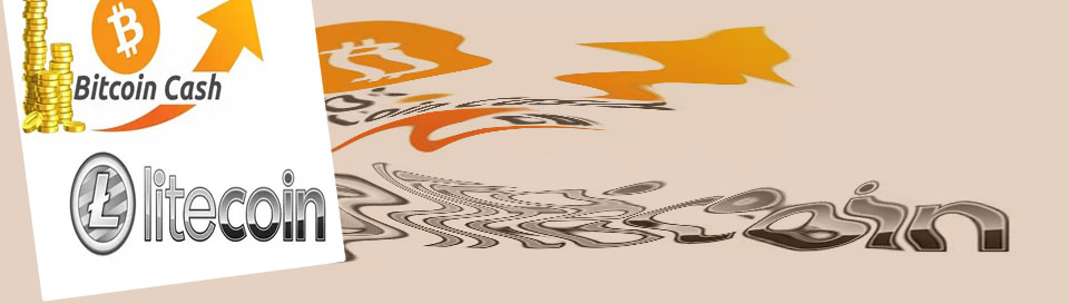 Quotazione bitcoin cash