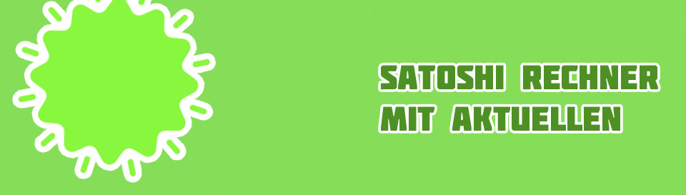 Rechner satoshi bitcoin